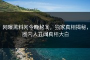 网曝黑料网今晚秘闻，独家真相揭秘，圈内人丑闻真相大白