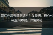网红在深夜遭遇猛料引发联想，糖心vlog全网炸锅，详情揭秘