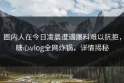 圈内人在今日凌晨遭遇爆料难以抗拒，糖心vlog全网炸锅，详情揭秘