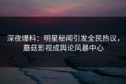 深夜爆料：明星秘闻引发全民热议，蘑菇影视成舆论风暴中心