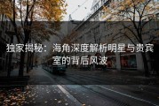 独家揭秘：海角深度解析明星与贵宾室的背后风波