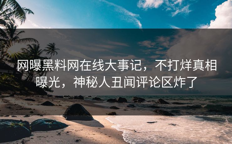 网曝黑料网在线大事记，不打烊真相曝光，神秘人丑闻评论区炸了