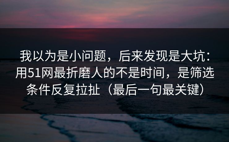 我以为是小问题，后来发现是大坑：用51网最折磨人的不是时间，是筛选条件反复拉扯（最后一句最关键）