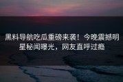 黑料导航吃瓜重磅来袭！今晚震撼明星秘闻曝光，网友直呼过瘾