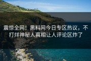 震惊全网！黑料网今日专区热议，不打烊神秘人真相让人评论区炸了