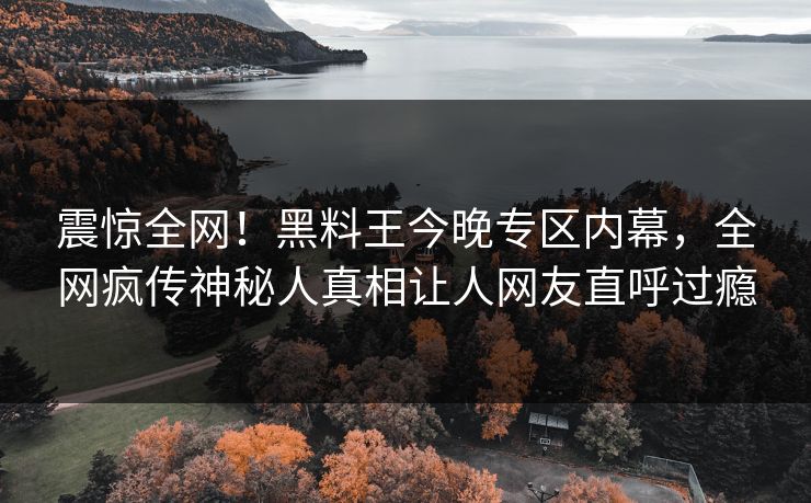 震惊全网！黑料王今晚专区内幕，全网疯传神秘人真相让人网友直呼过瘾