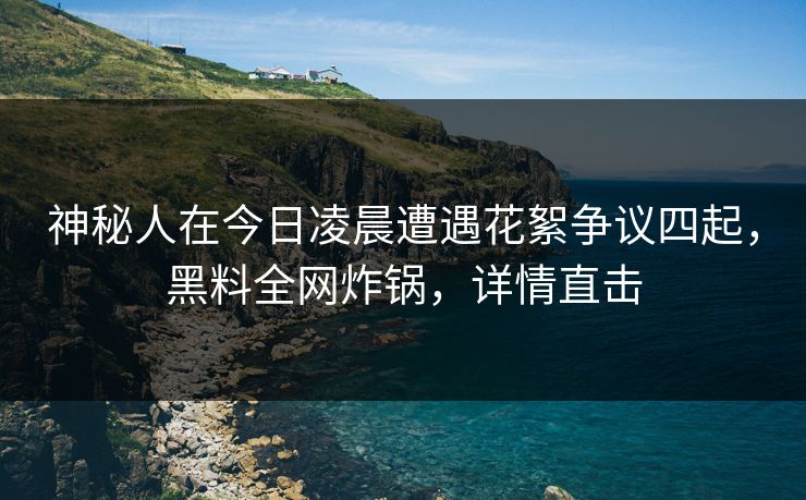 神秘人在今日凌晨遭遇花絮争议四起，黑料全网炸锅，详情直击