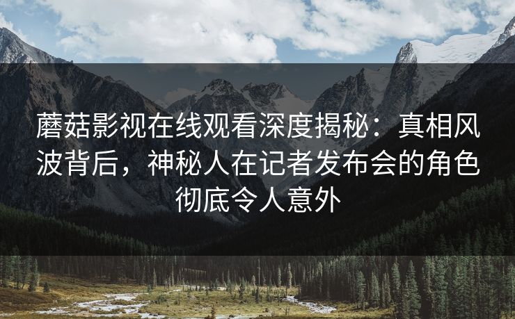 蘑菇影视在线观看深度揭秘：真相风波背后，神秘人在记者发布会的角色彻底令人意外